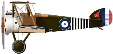 Profil couleur du Sopwith F.1 Camel