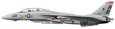 Profil couleur du Grumman F-14 Tomcat