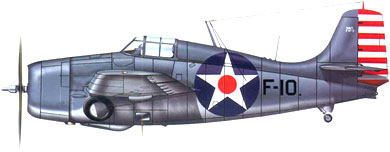 Profil couleur du Grumman F4F Wildcat