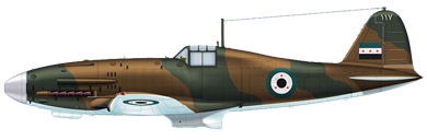 Profil couleur du Fiat G.59