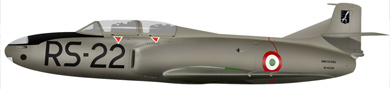 Profil couleur du Fiat G.80/G.82