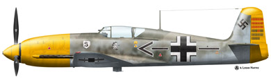 Profil couleur du Heinkel He 100