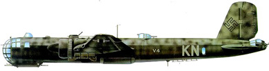 Profil couleur du Heinkel He 177 Greif