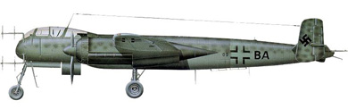 Profil couleur du Heinkel He 219 Uhu