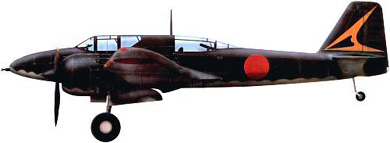 Profil couleur du Kawasaki Ki-102  ‘Randy’