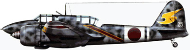 Profil couleur du Kawasaki Ki-45 Toryu ‘Nick’