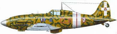 Profil couleur du Macchi MC.202 Folgore