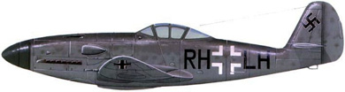 Profil couleur du Messerschmitt Me 309