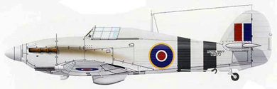 Profil couleur du Hawker Sea Hurricane