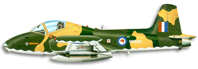 Profil couleur du BAC  Strikemaster