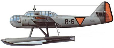 Profil couleur du Fokker T.VIII-W