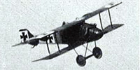 Miniature du LFG Roland D.I / D.II