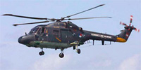 Miniature du Westland  Lynx