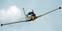 Miniature du SIAI-Marchetti S.208M