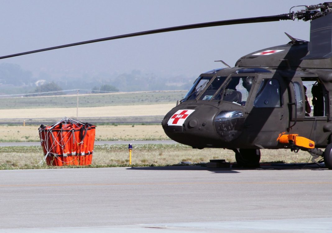 Bambi bucket Dossier