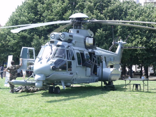 Sur ce Caracal français la gundoor est bien visible.