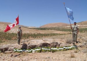 ONU Memorial UNEF Vol