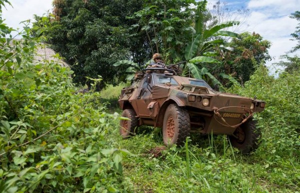 Dans la forêt centrafricaine ce Véhicule Blindé Léger  de l'Armée de Terre semble dans son élément.