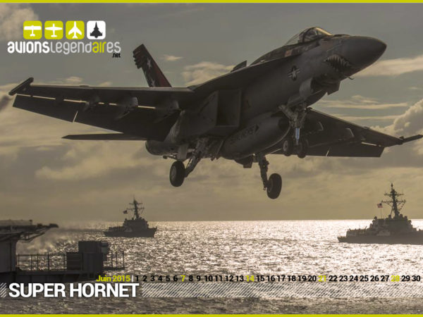 calendrier-avionslegendaires-juin-2015