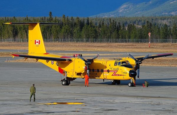 Whitehorse Buffalo