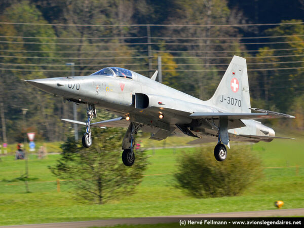 Northrop F-5E Tiger II - Meiringen